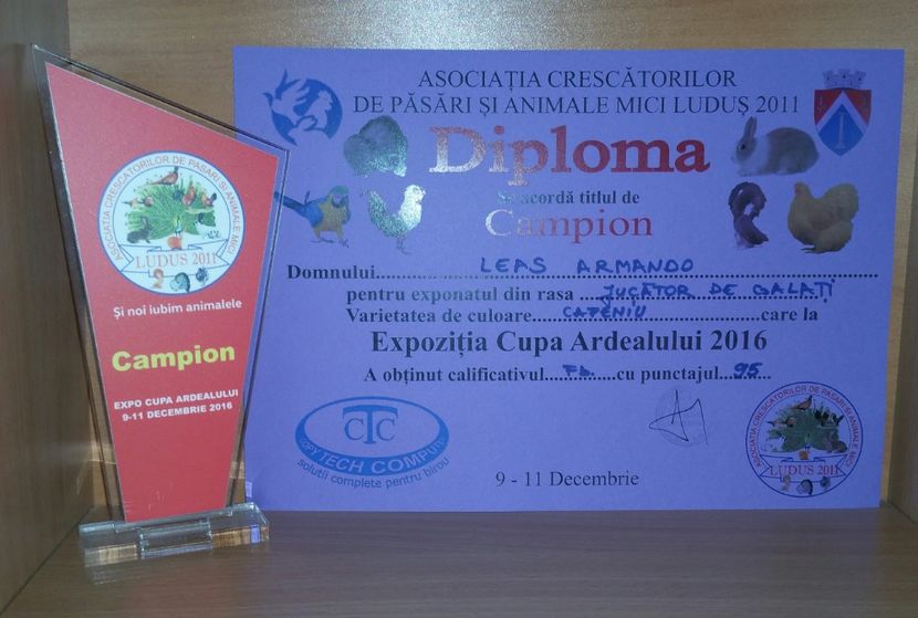 20181218_003449-1 - A- Cupe-Diplome-Medalii