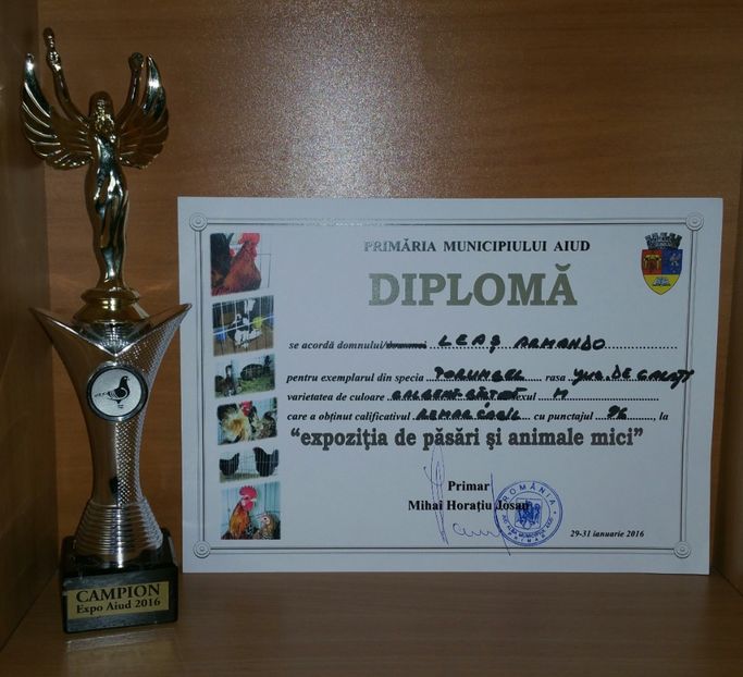20181218_003651-1 - A- Cupe-Diplome-Medalii