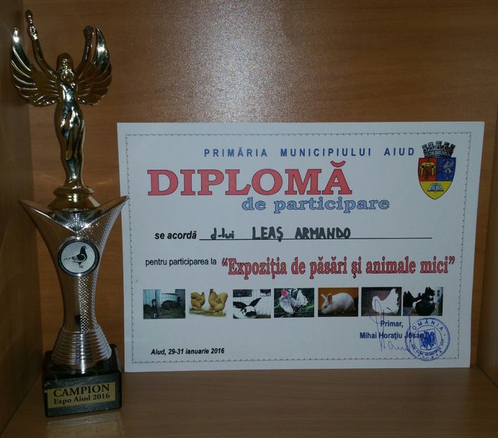20181218_003824-1 - A- Cupe-Diplome-Medalii