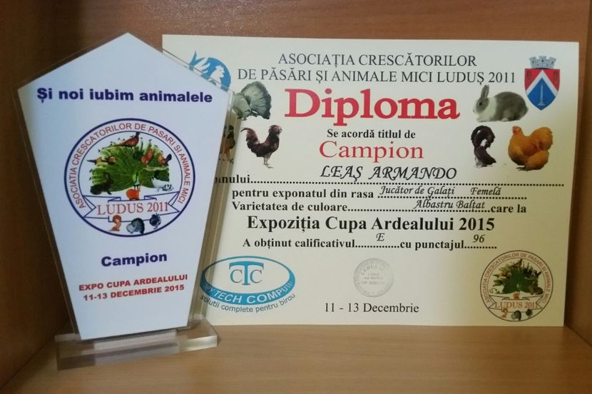 20181218_005250-1 - A- Cupe-Diplome-Medalii