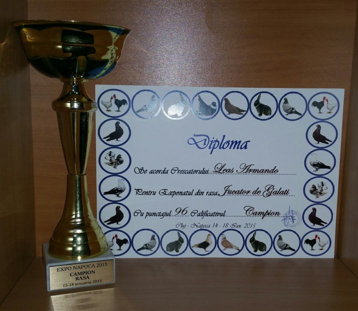 20181218_005729-1 - A- Cupe-Diplome-Medalii