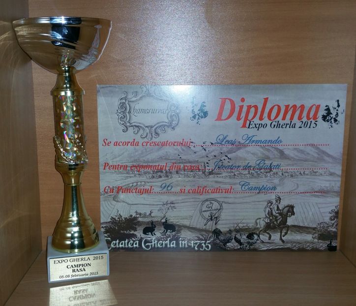 20181218_010208-1 - A- Cupe-Diplome-Medalii