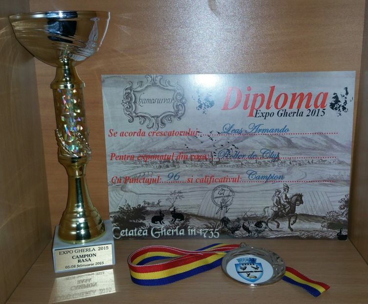 20181218_010536-1 - A- Cupe-Diplome-Medalii