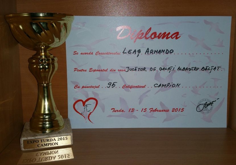 20181218_010729-1 - A- Cupe-Diplome-Medalii