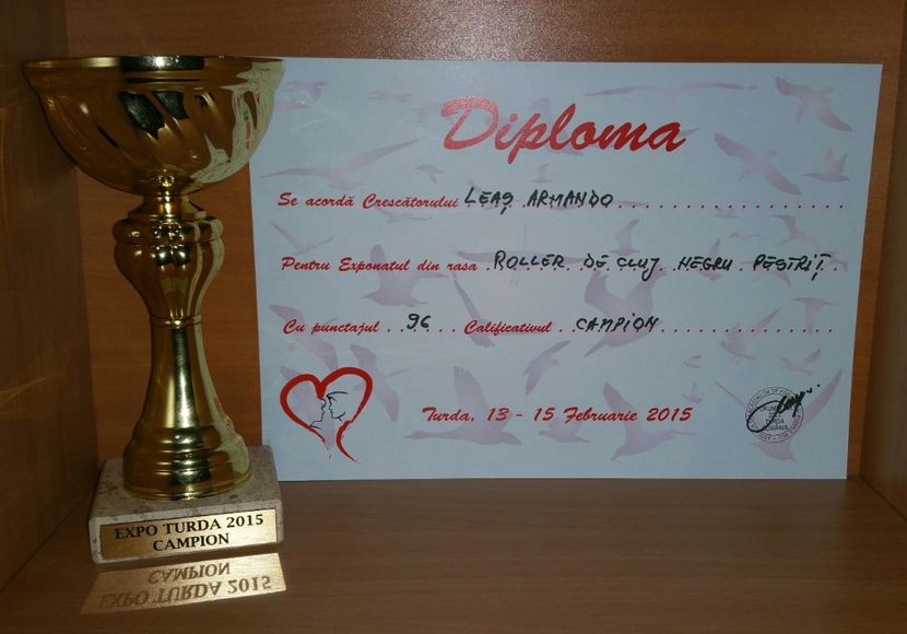 20181218_010904-1 - A- Cupe-Diplome-Medalii