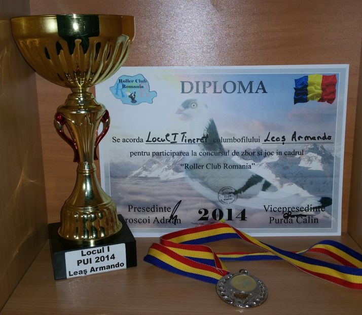 20181218_011656-1 - A- Cupe-Diplome-Medalii