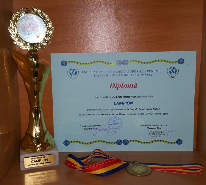 20181218_012251-1 - A- Cupe-Diplome-Medalii