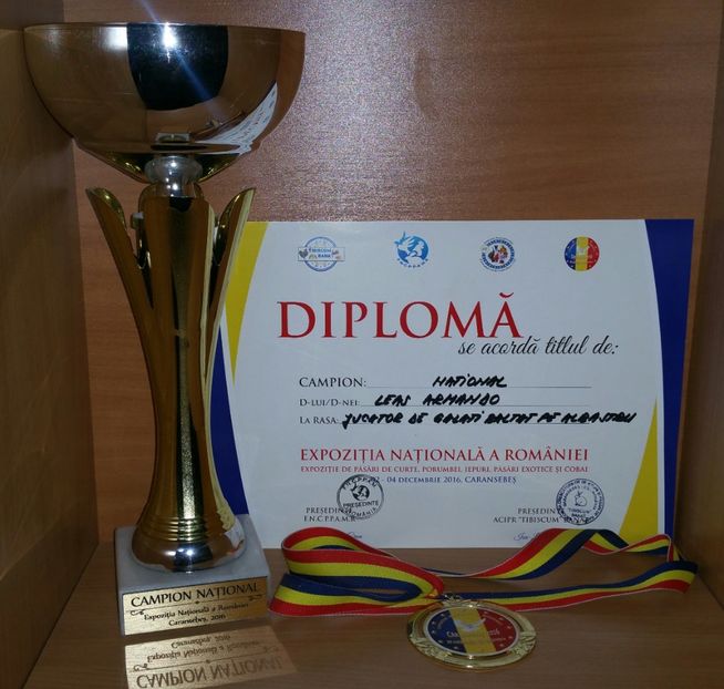 20181218_013001-1 - A- Cupe-Diplome-Medalii