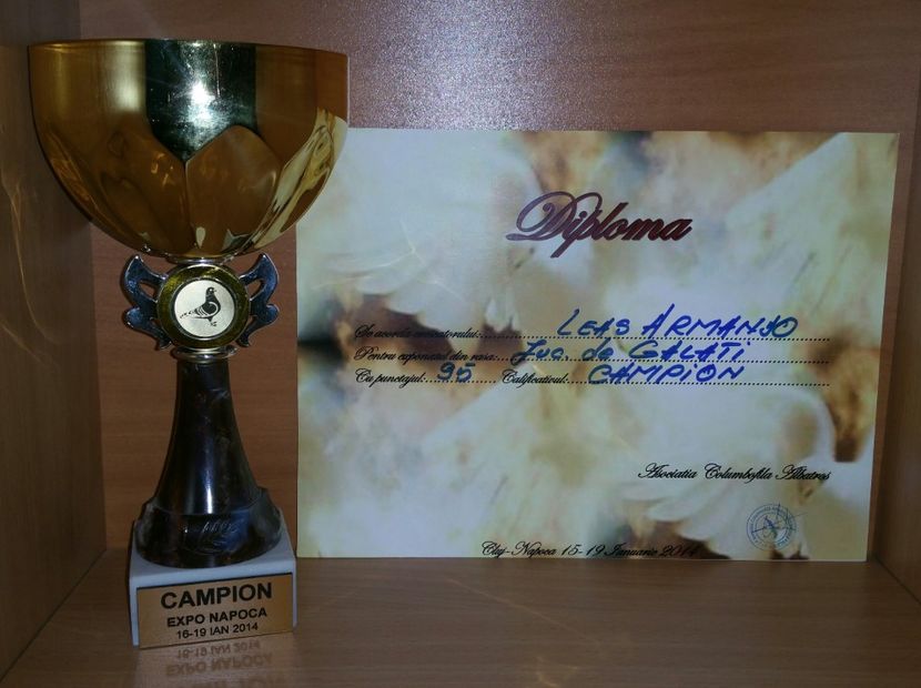 20181218_014543-1 - A- Cupe-Diplome-Medalii