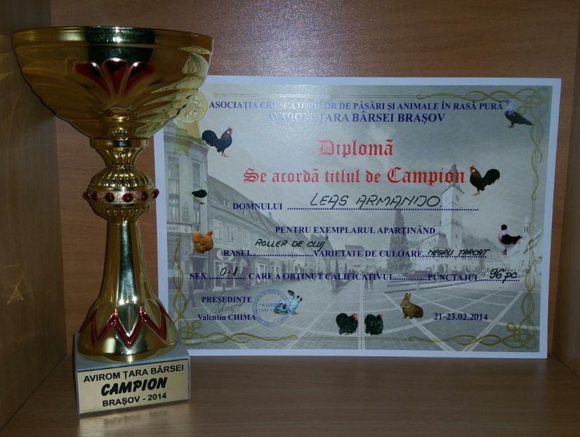 20181218_014835-1 - A- Cupe-Diplome-Medalii