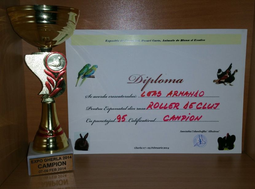 20181218_015137-1 - A- Cupe-Diplome-Medalii