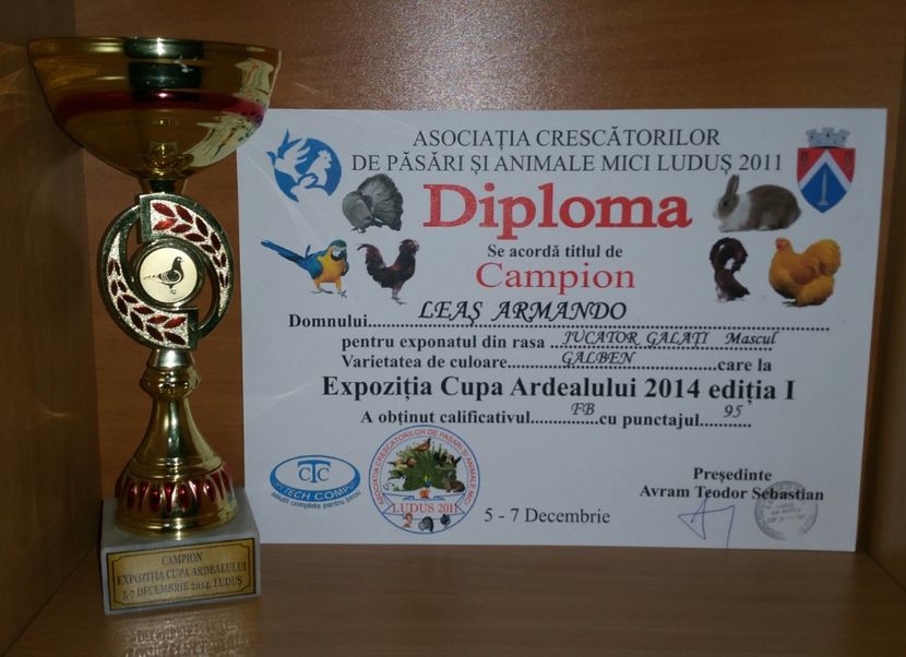 20181218_015511-1 - A- Cupe-Diplome-Medalii
