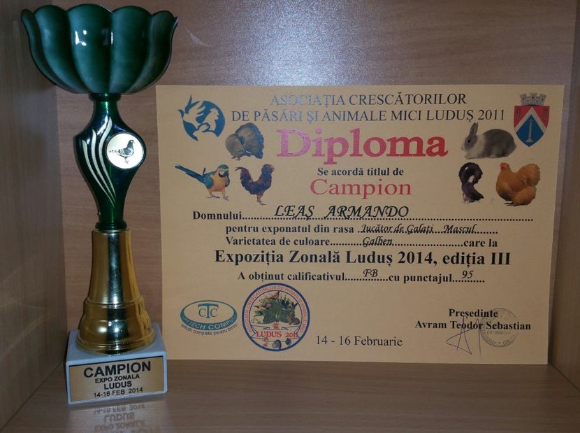 20181218_015822-1 - A- Cupe-Diplome-Medalii