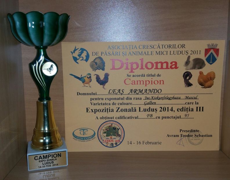 20181218_015942-1 - A- Cupe-Diplome-Medalii