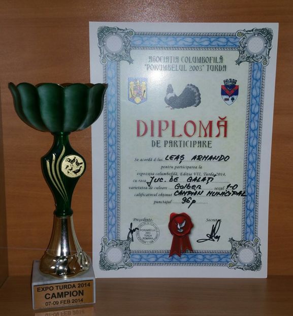 20181218_020319-1 - A- Cupe-Diplome-Medalii