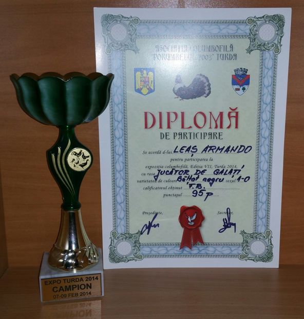 20181218_020447-1 - A- Cupe-Diplome-Medalii