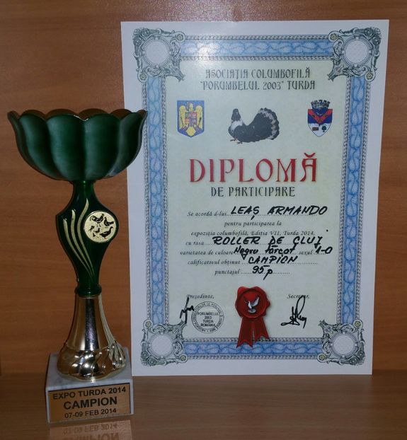 20181218_020546-1 - A- Cupe-Diplome-Medalii