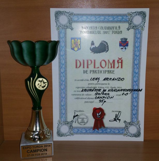 20181218_020639-1 - A- Cupe-Diplome-Medalii