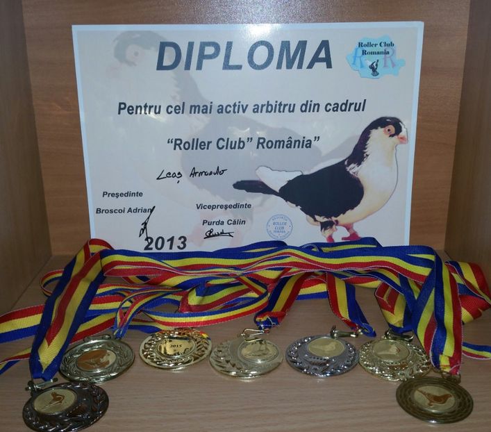 20181218_020918-1 - A- Cupe-Diplome-Medalii