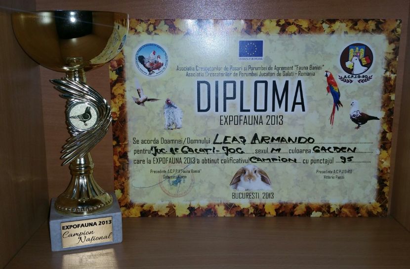 20181218_021115-1 - A- Cupe-Diplome-Medalii