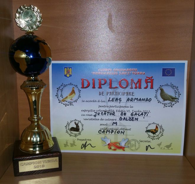20181218_021307-1 - A- Cupe-Diplome-Medalii