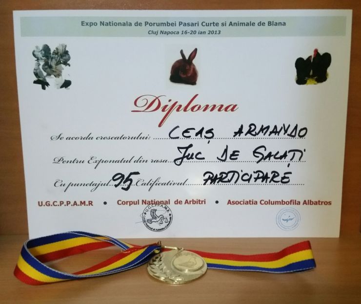 20181218_021648-1 - A- Cupe-Diplome-Medalii