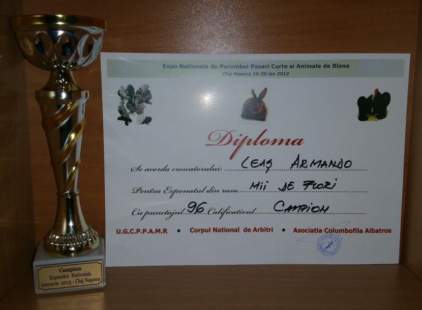 20181218_021922-1 - A- Cupe-Diplome-Medalii