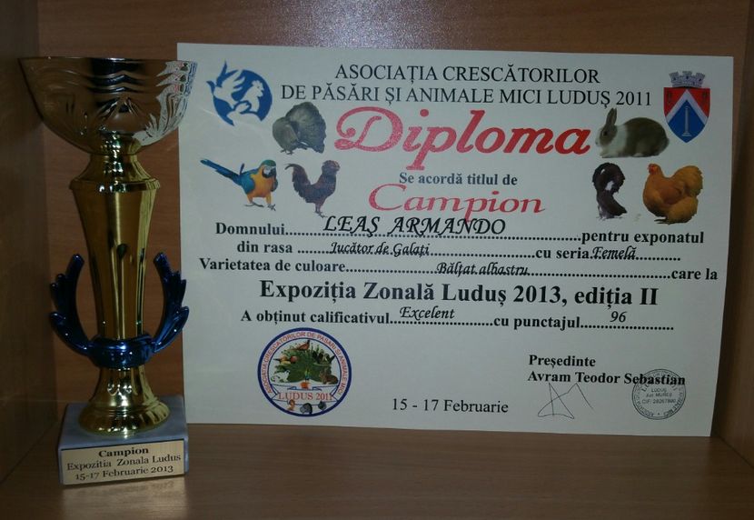 20181218_022247-1 - A- Cupe-Diplome-Medalii