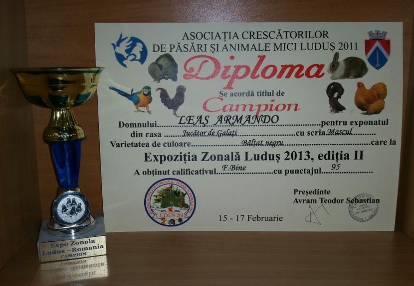 20181218_022423-1 - A- Cupe-Diplome-Medalii