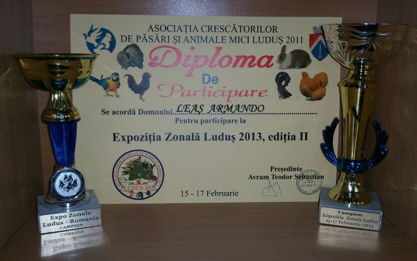 20181218_022535-1 - A- Cupe-Diplome-Medalii