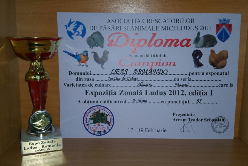 20181218_022957-1 - A- Cupe-Diplome-Medalii