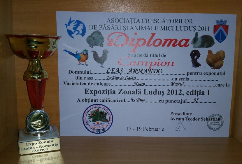 20181218_023059-1 - A- Cupe-Diplome-Medalii