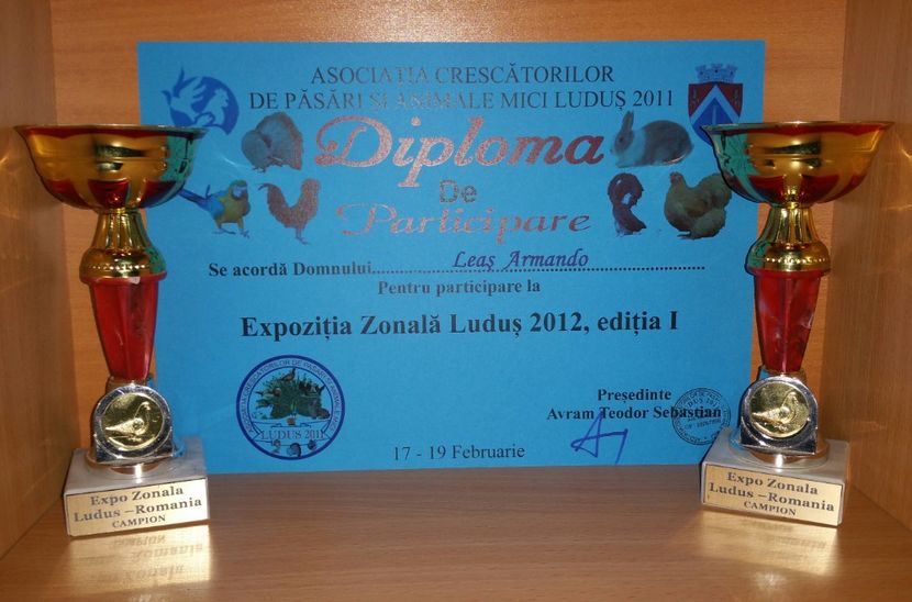 20181218_023203-1 - A- Cupe-Diplome-Medalii