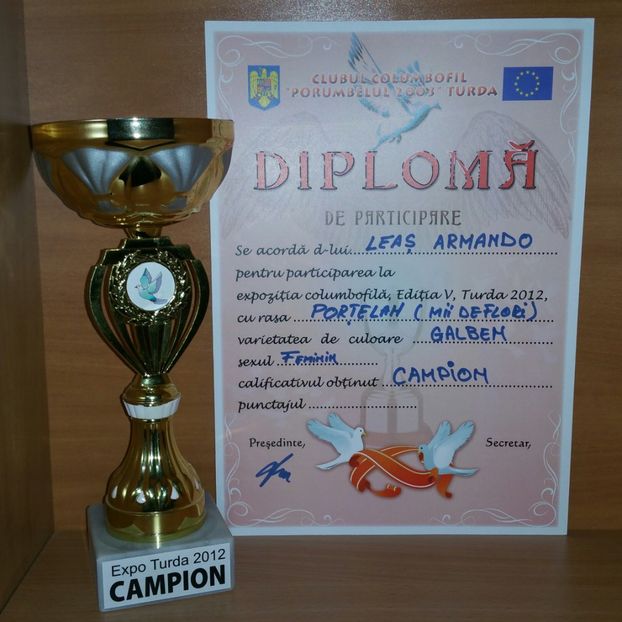 20181218_023445-1 - A- Cupe-Diplome-Medalii