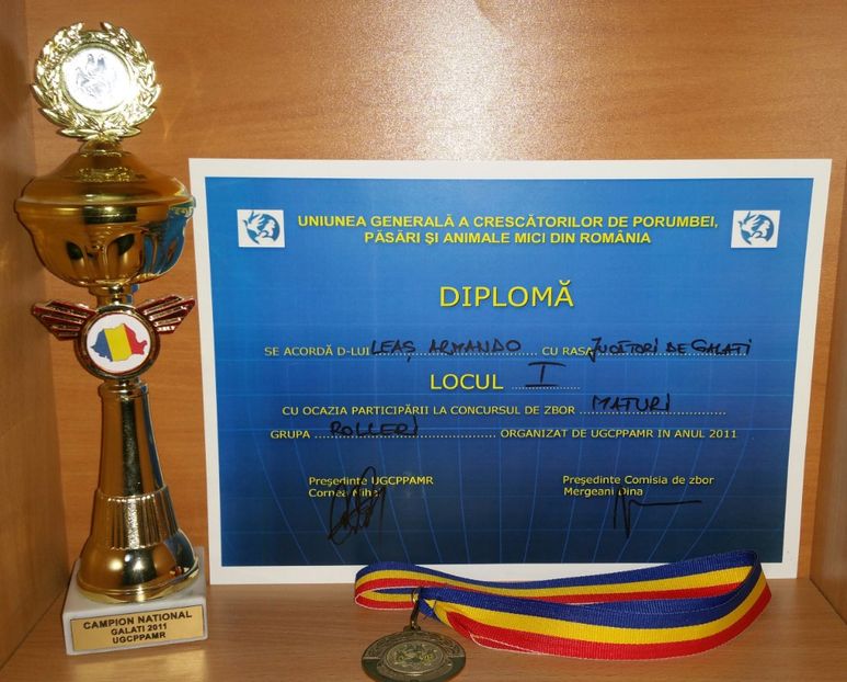 20181218_024017-1 - A- Cupe-Diplome-Medalii