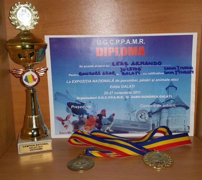 20181218_024530-1 - A- Cupe-Diplome-Medalii