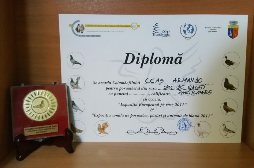 20181218_024911-1 - A- Cupe-Diplome-Medalii
