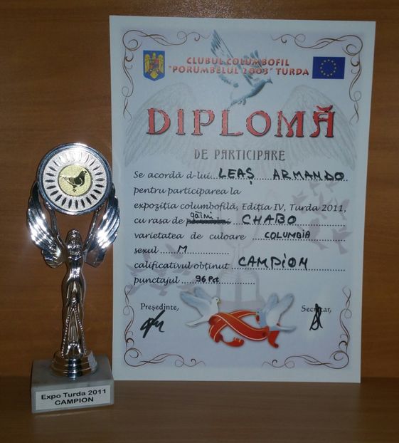 20181218_025120-1 - A- Cupe-Diplome-Medalii