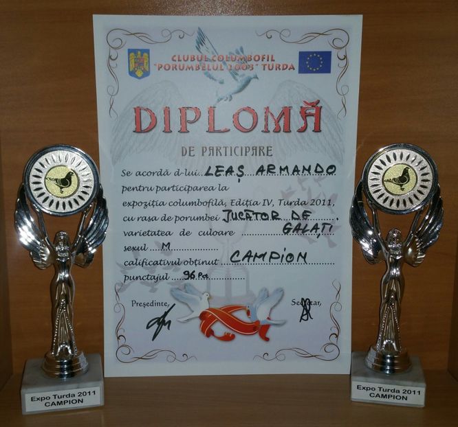 20181218_025225-1 - A- Cupe-Diplome-Medalii