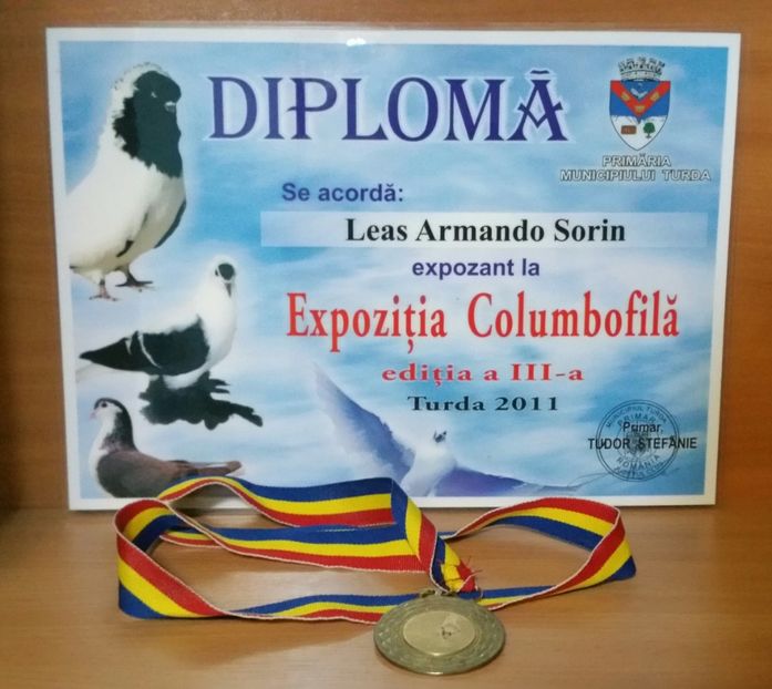 20181218_025411-1 - A- Cupe-Diplome-Medalii