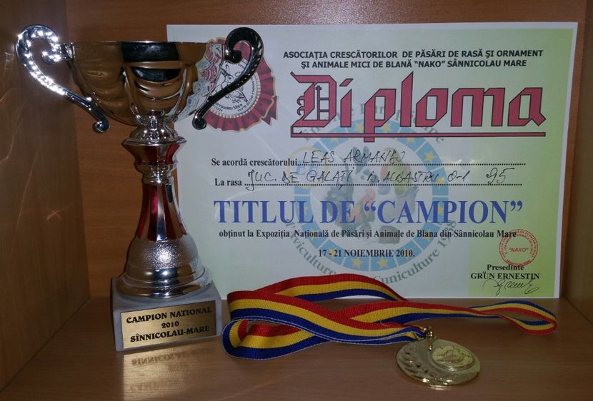 20181218_025603-1 - A- Cupe-Diplome-Medalii