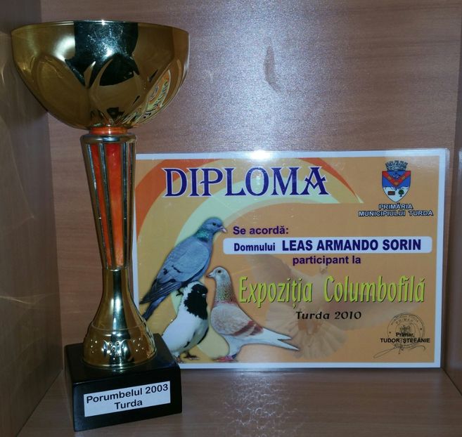 20181218_025737-1 - A- Cupe-Diplome-Medalii