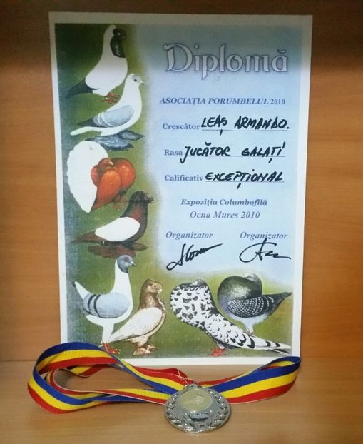 20181218_030202-1 - A- Cupe-Diplome-Medalii