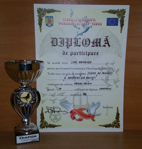 20181218_030345-1 - A- Cupe-Diplome-Medalii