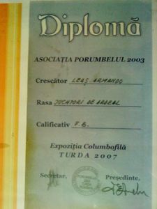 26254662_AKUKIPYIK - A- Cupe-Diplome-Medalii