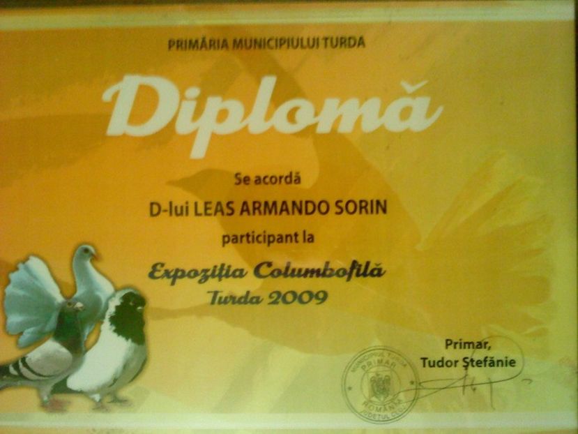 26255501_UBBAOVECA - A- Cupe-Diplome-Medalii