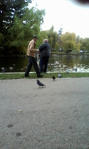  - 2018 PLIMBARE DE TOAMNA 2 NOV