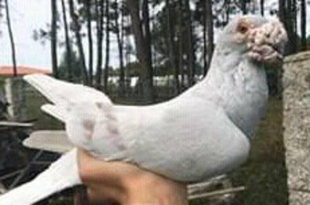 image - Ceva interesant