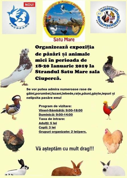  - T--TARGURI SI EXPOZITII
