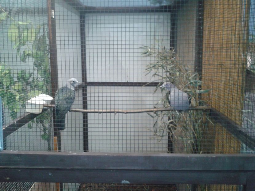 Fotografie0044 - 29---expozitie Leipzig- Germania 2018